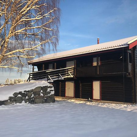 Apartament Drolsum Gard Vikersund Zewnętrze zdjęcie
