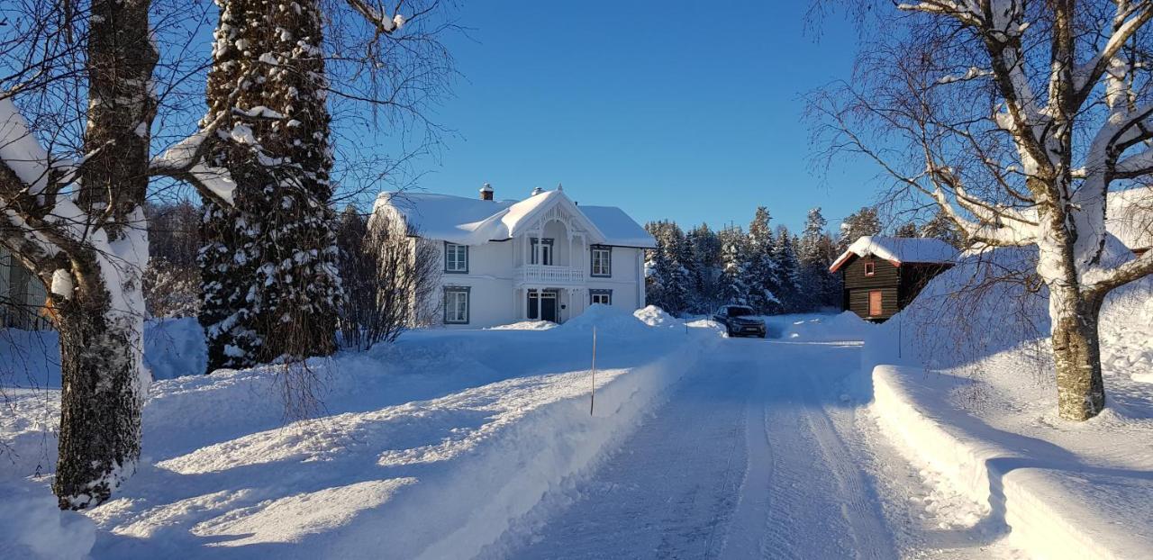 Apartament Drolsum Gard Vikersund Zewnętrze zdjęcie
