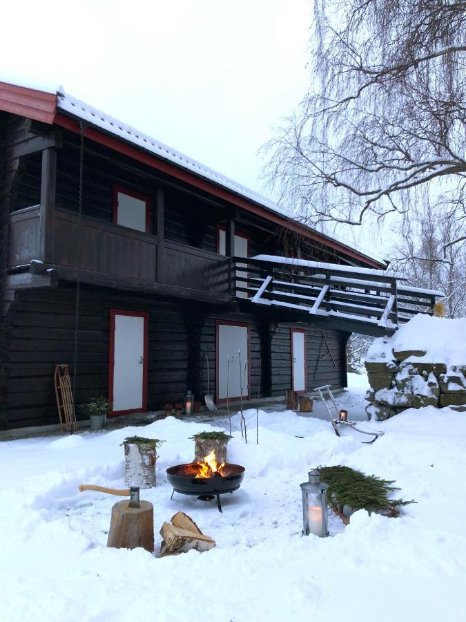 Apartament Drolsum Gard Vikersund Zewnętrze zdjęcie