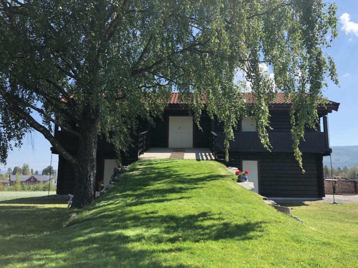 Apartament Drolsum Gard Vikersund Zewnętrze zdjęcie