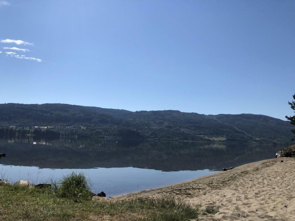 Apartament Drolsum Gard Vikersund Zewnętrze zdjęcie